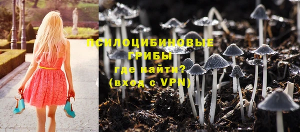 прущие грибы Иннополис
