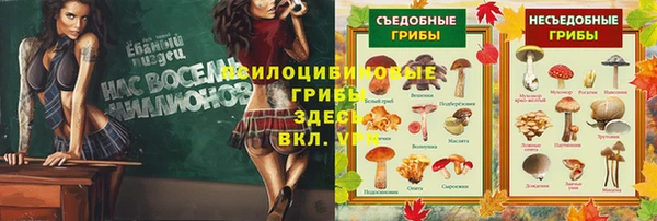 MDMA Premium VHQ Инта